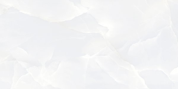 shop-2_01